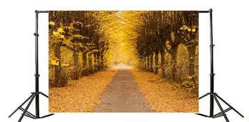 Fotózás Hátteret Őszi Arany Levelek A Fák Földút Természet Utazás